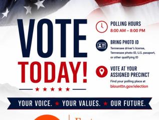 GO VOTE!